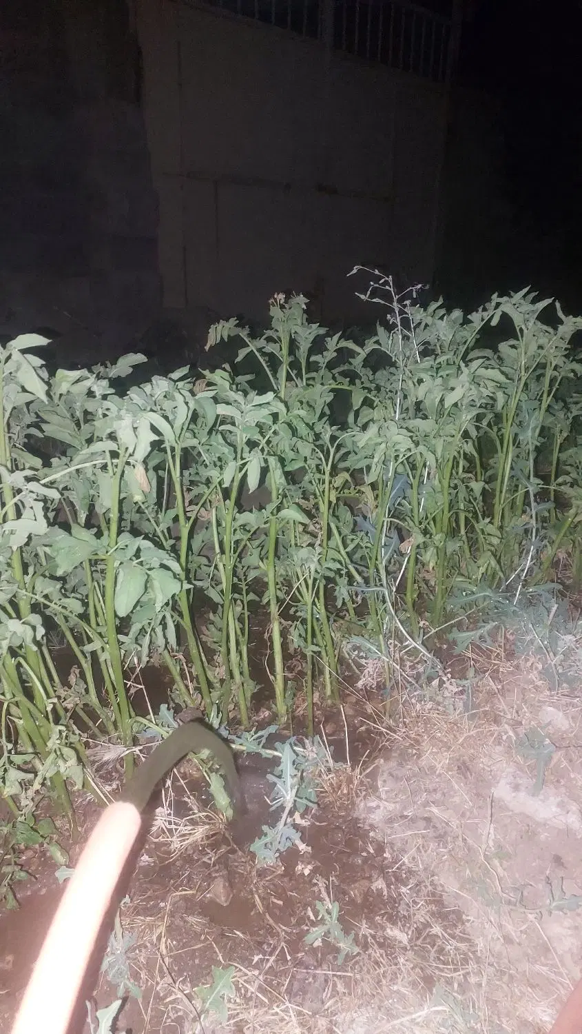 زمین فروشی