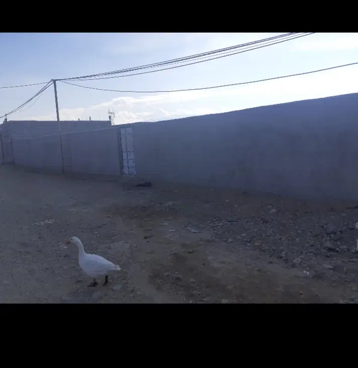 فروش زمین
