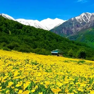 زمین بلهزار پایین، معاوضه با ماشین
