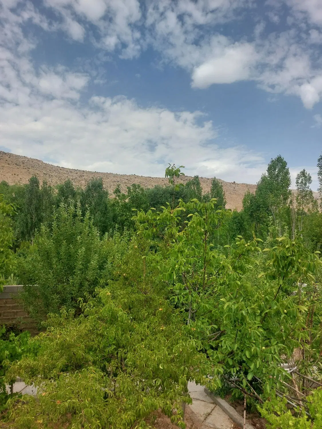 باغ ۱۴۰۰ متری سربست با مجوز ساخت سپیدان