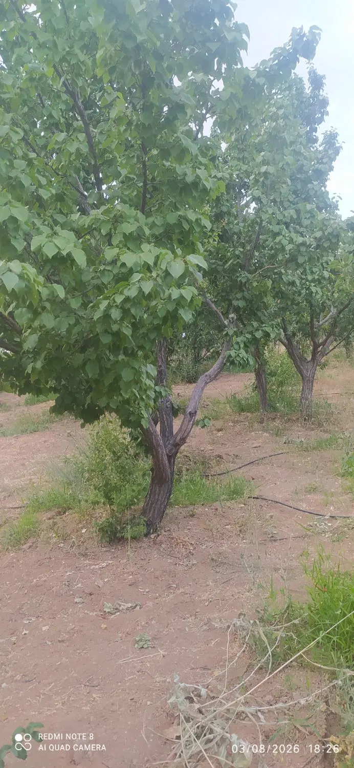 فروش باغ ویلایی