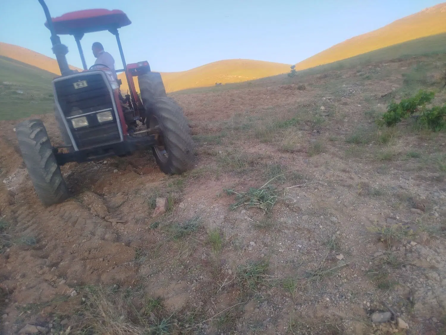 فروش زمین کشاورزی روستای جارچی