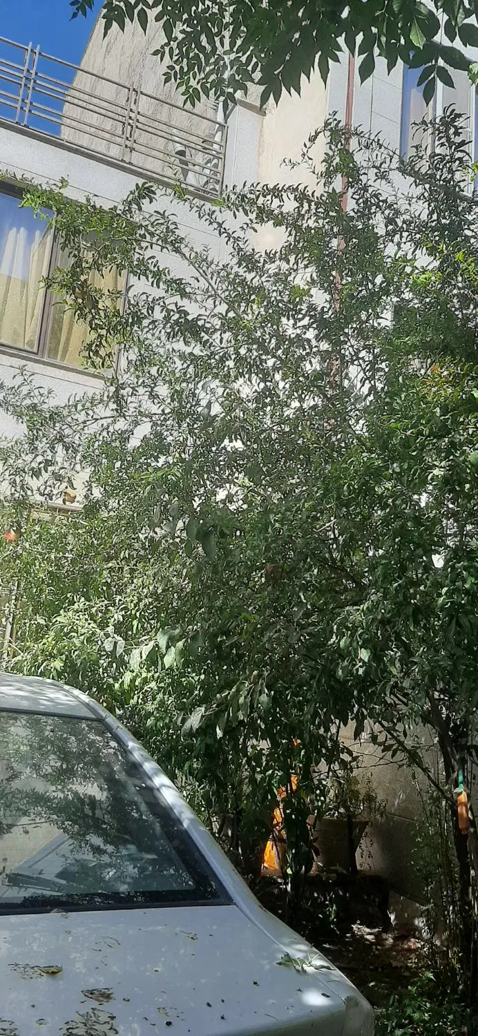 خانه شخصی