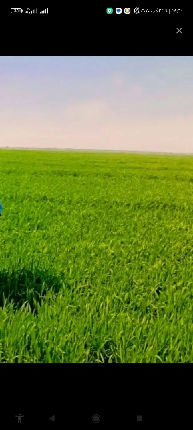 زمین فروشی برای کاشت پسته  سروستان