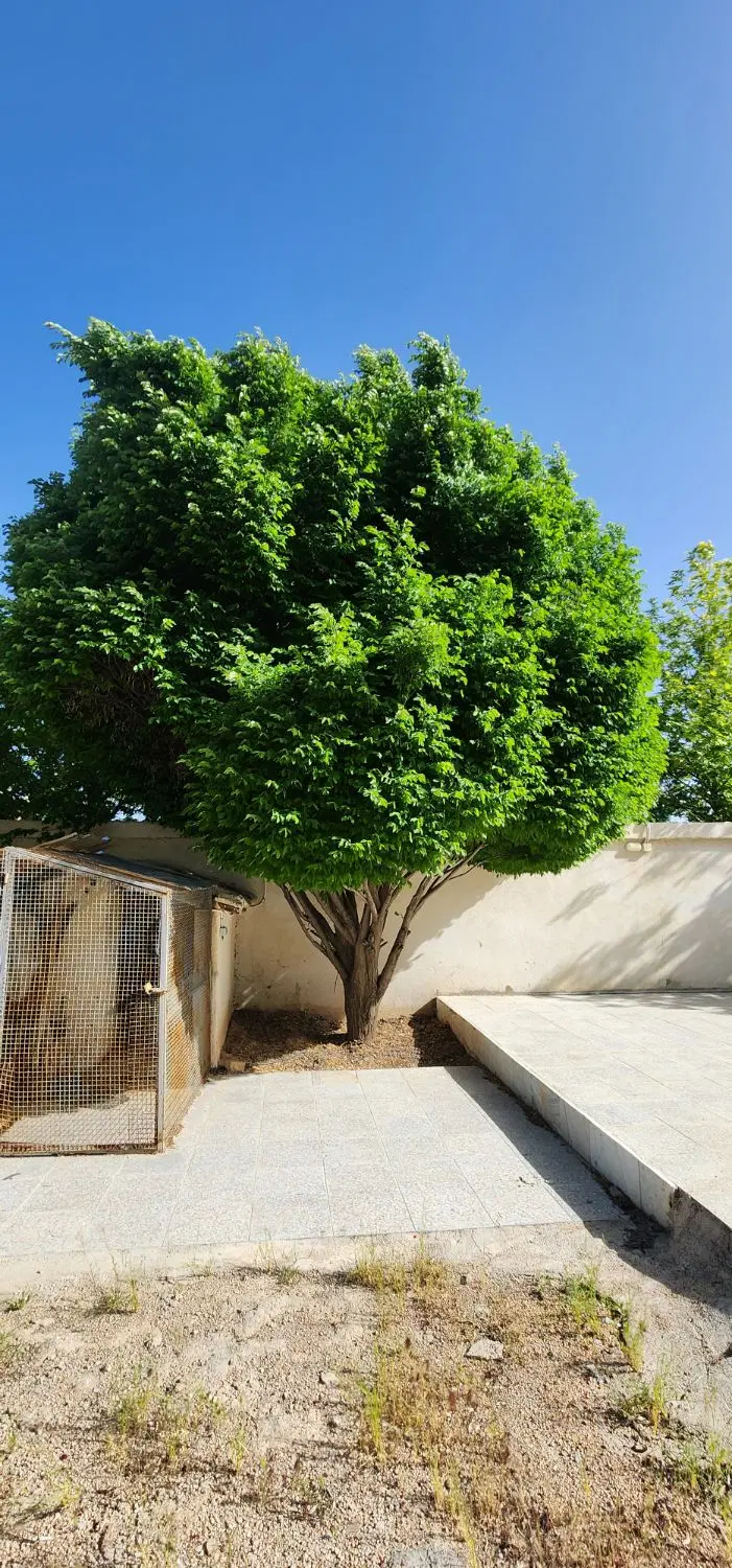 باغ شهری شهرک پرنیان