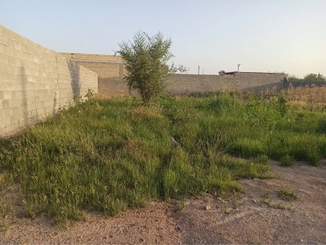زمین ویلا باغ