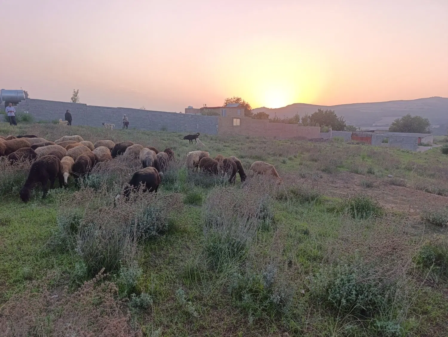 فروش زمین در پارک جنگلی اقسو