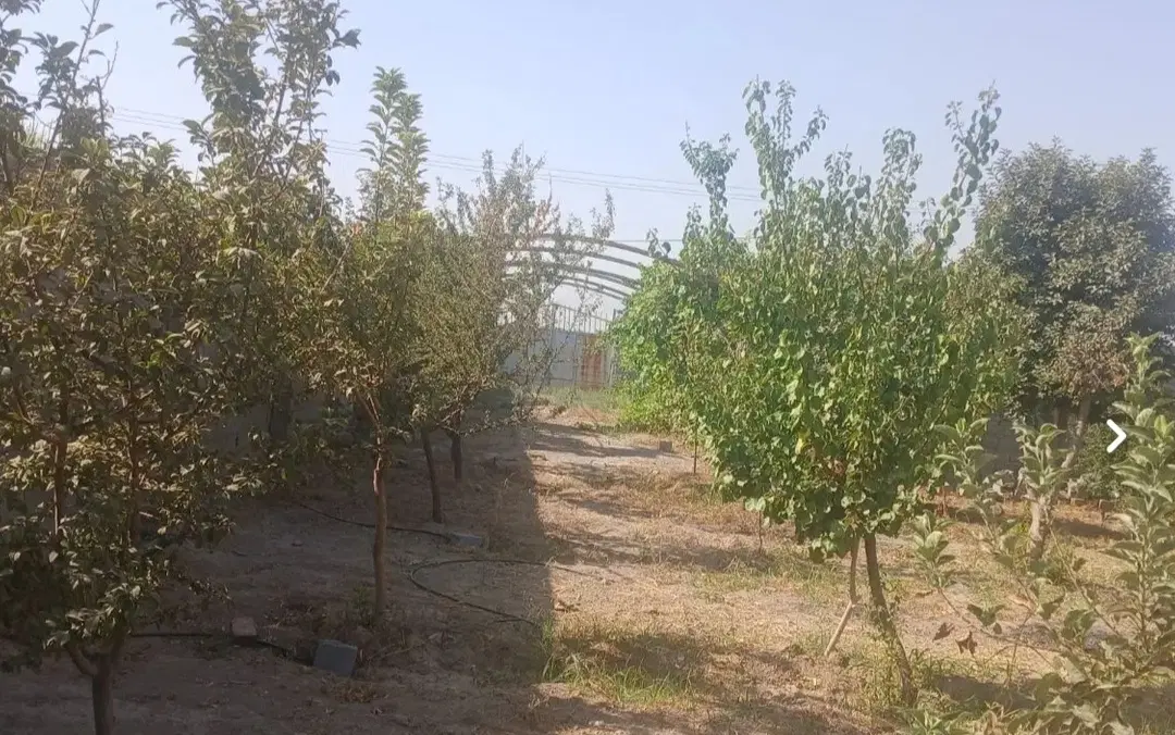 زمین