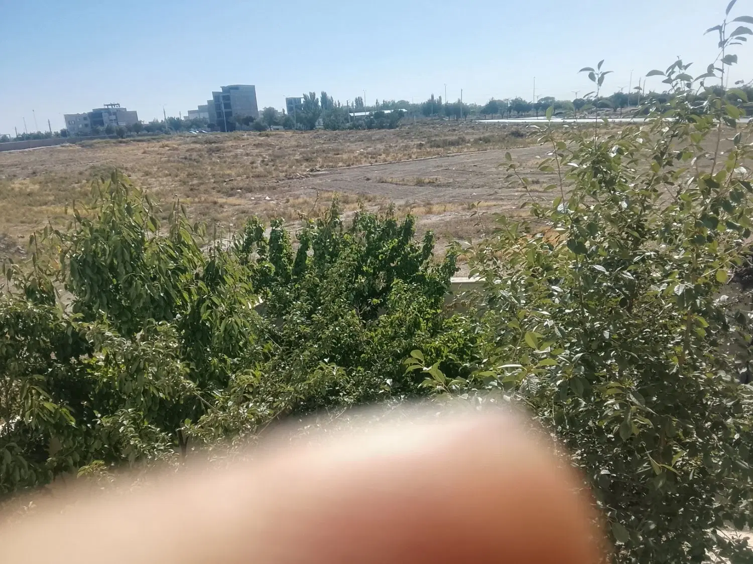 ساختمان کلنگی در بلوار