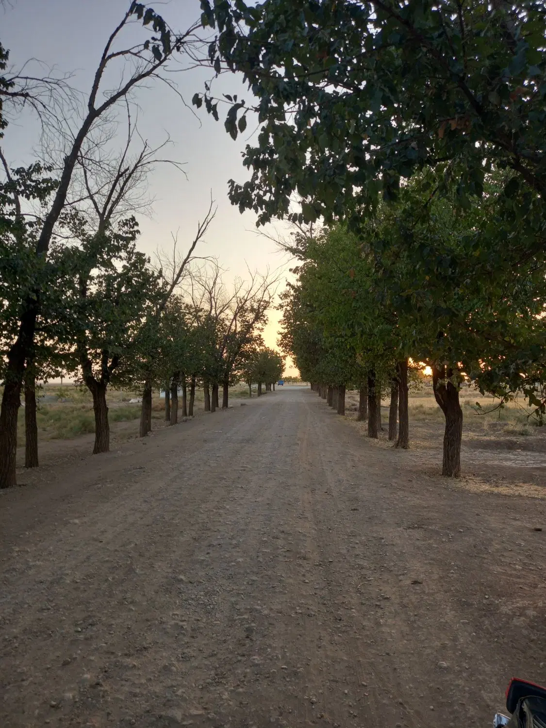 فروش زمین به متراژ۷۸۰۰متر