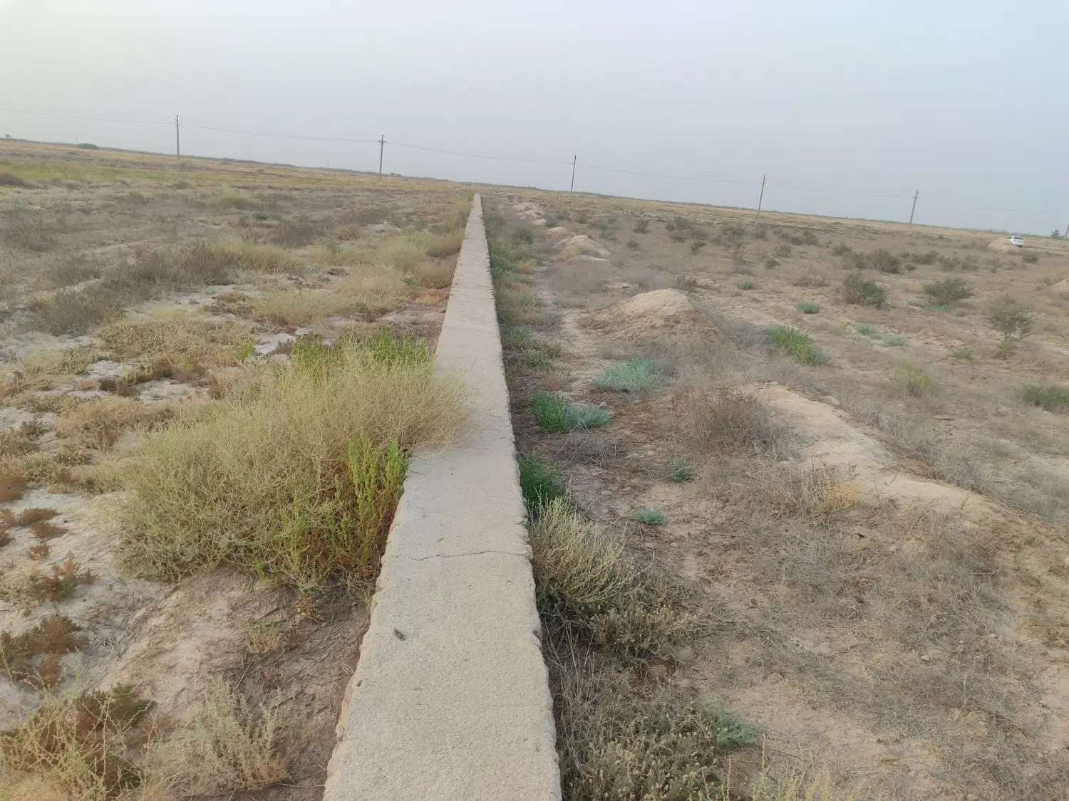 زمین دامداری