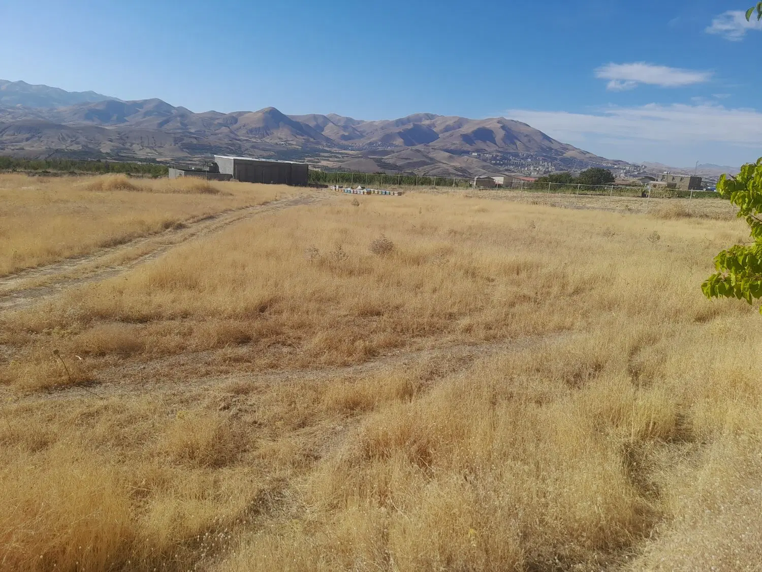 زمین سرنجیانه علیا