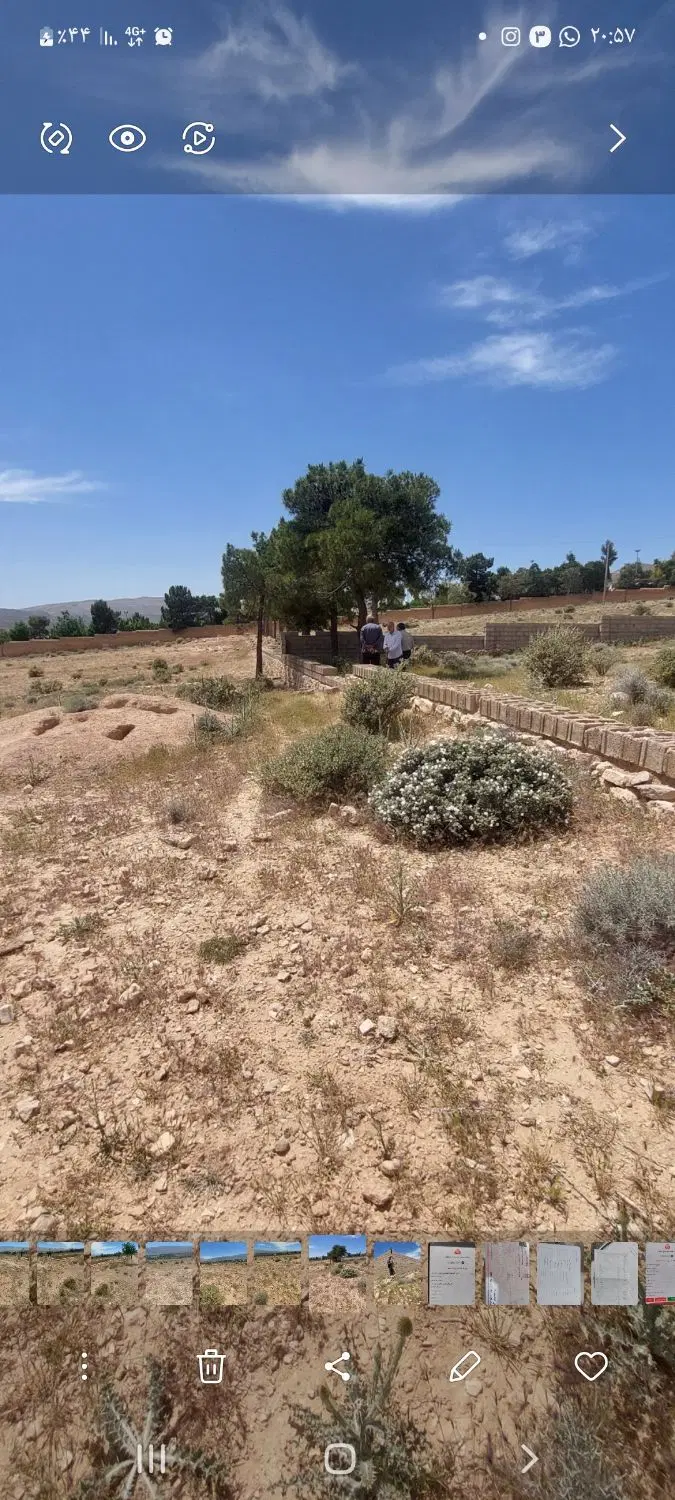 زمین
