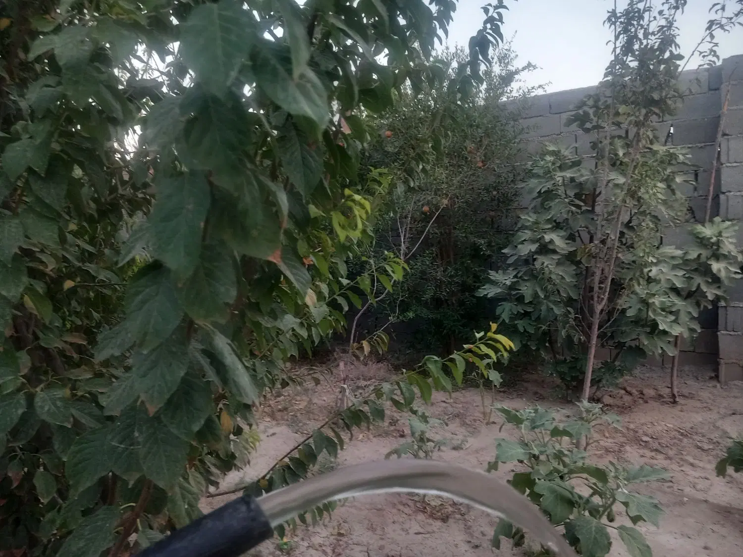 باغچه سند دار با کنتور آب