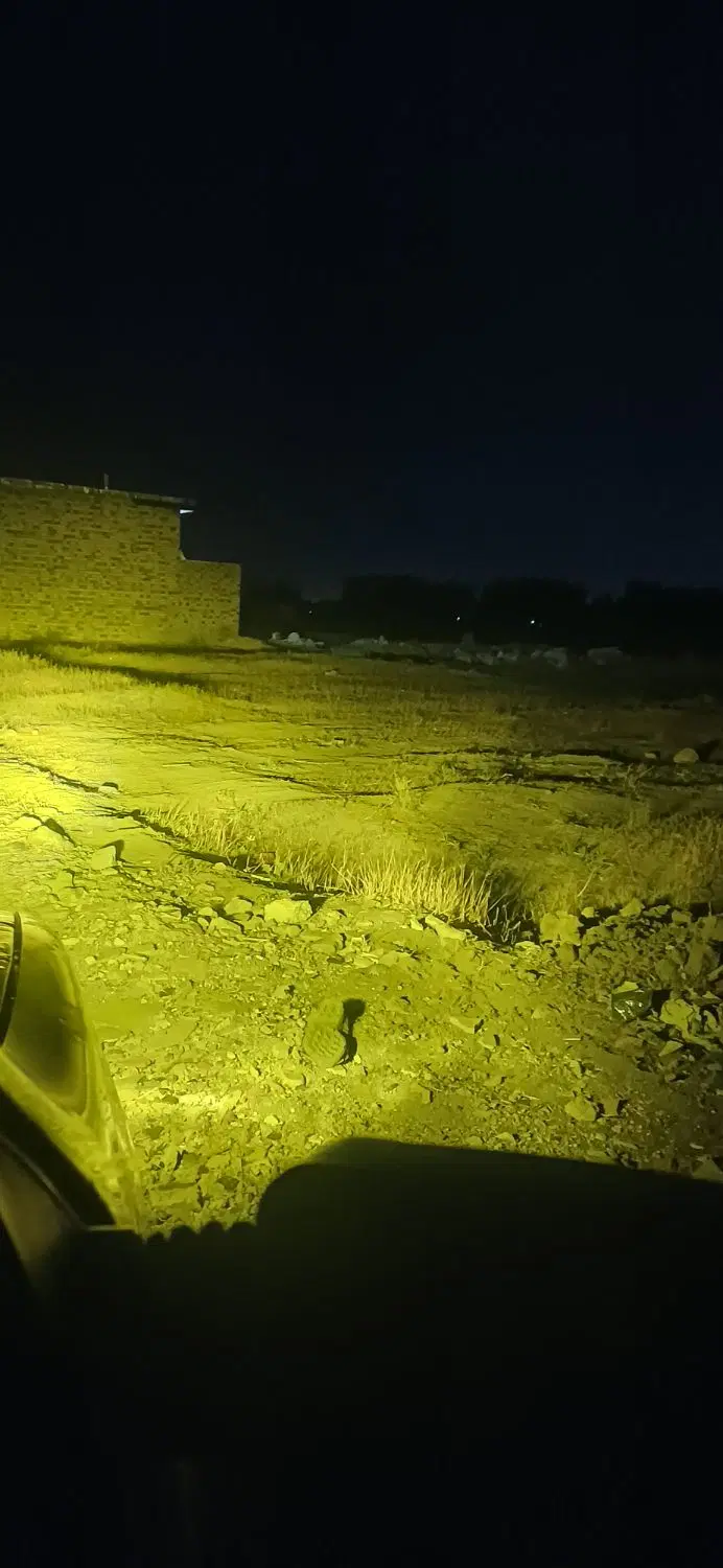 زمین مسکونی