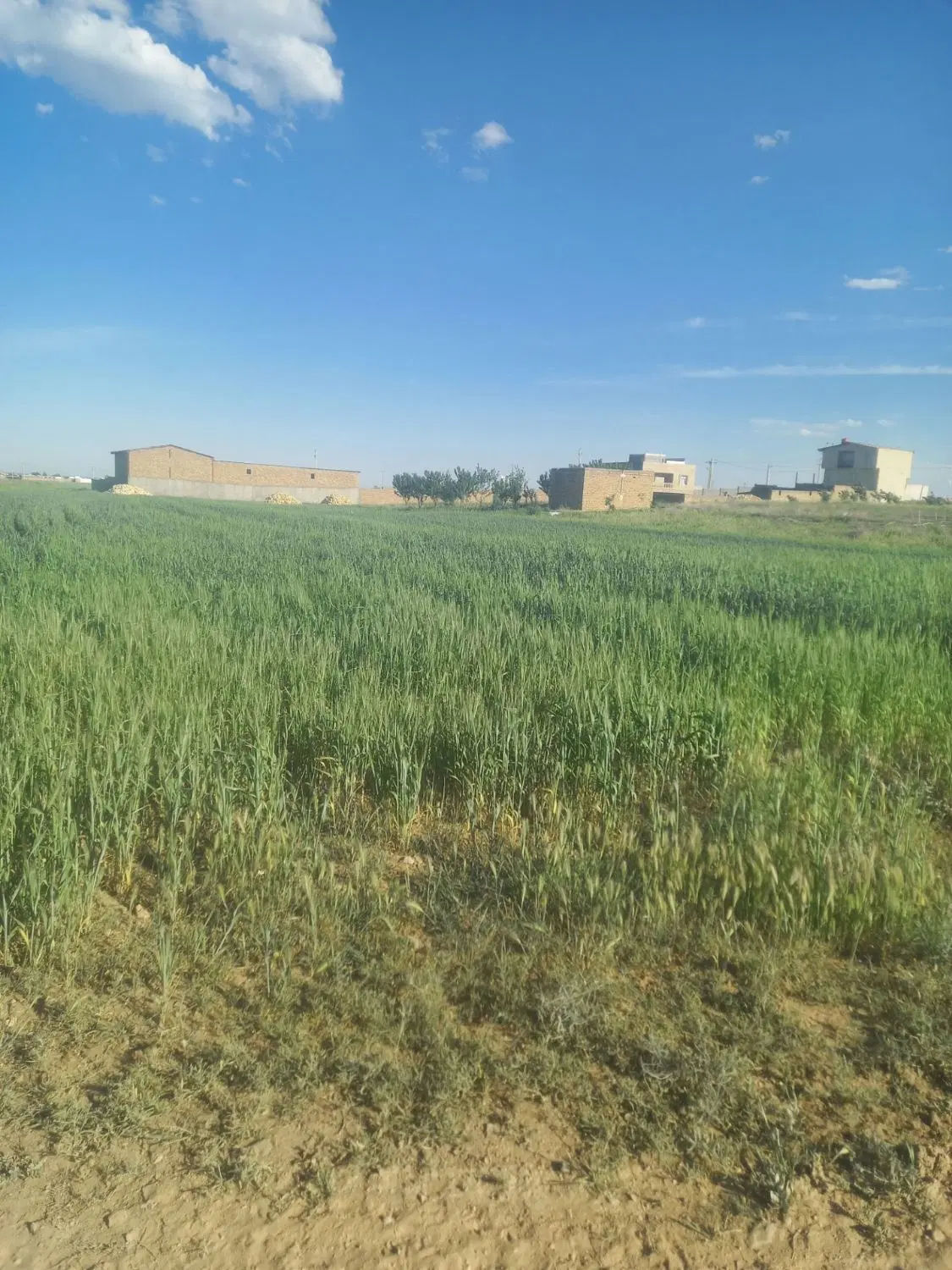 زمین مسکونی