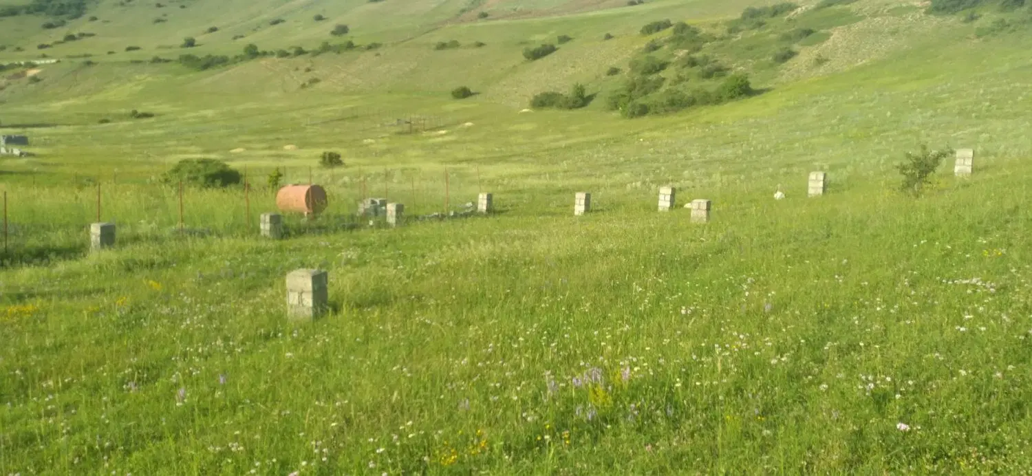 زمین مسکونی