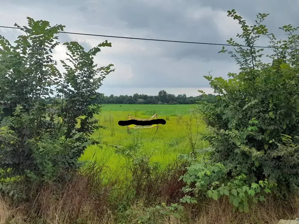 زمین ۴۷۰ متری با کاربری مسکونی (روستای رودپیش)