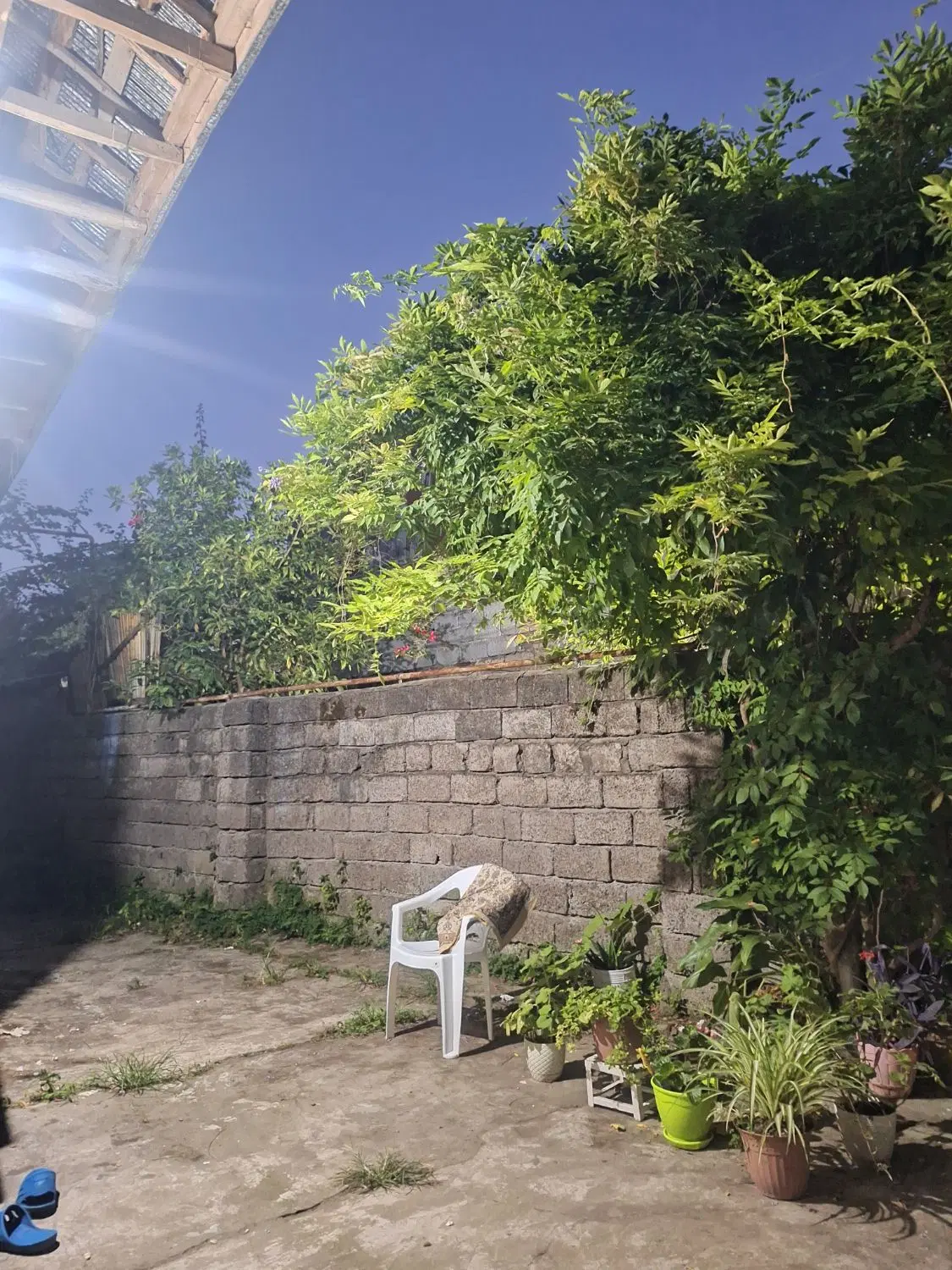 اجاره ویلایی دربست