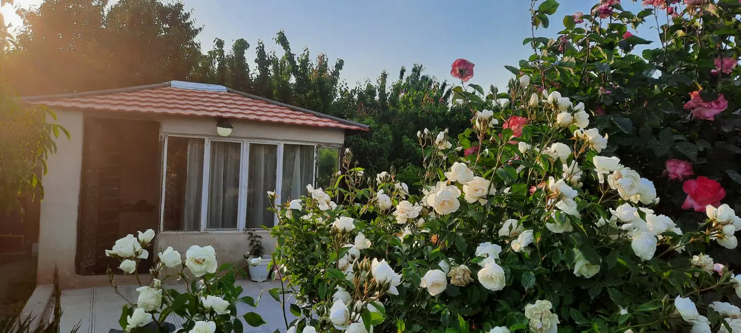 باغ باباریز