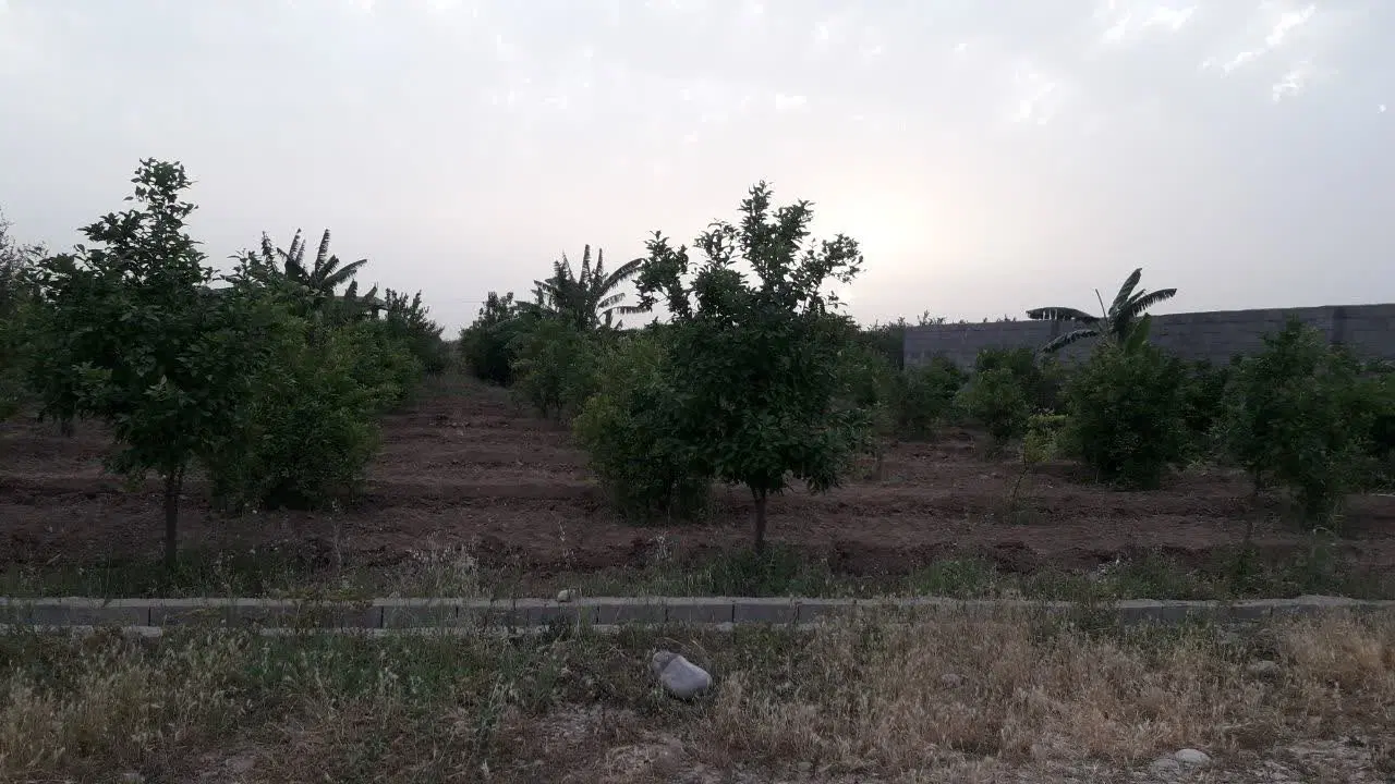 فروش زمین مناسب باغ ویلا