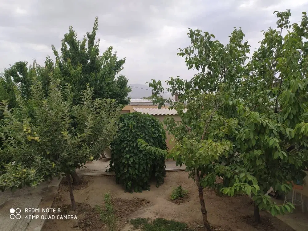 ویلایی مهاجران