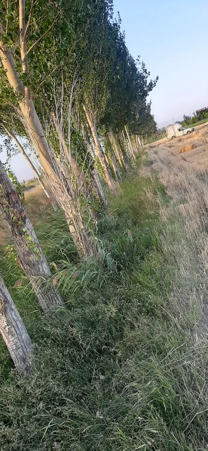 زمین زراعی و باغ ۱۰۰۰ متر