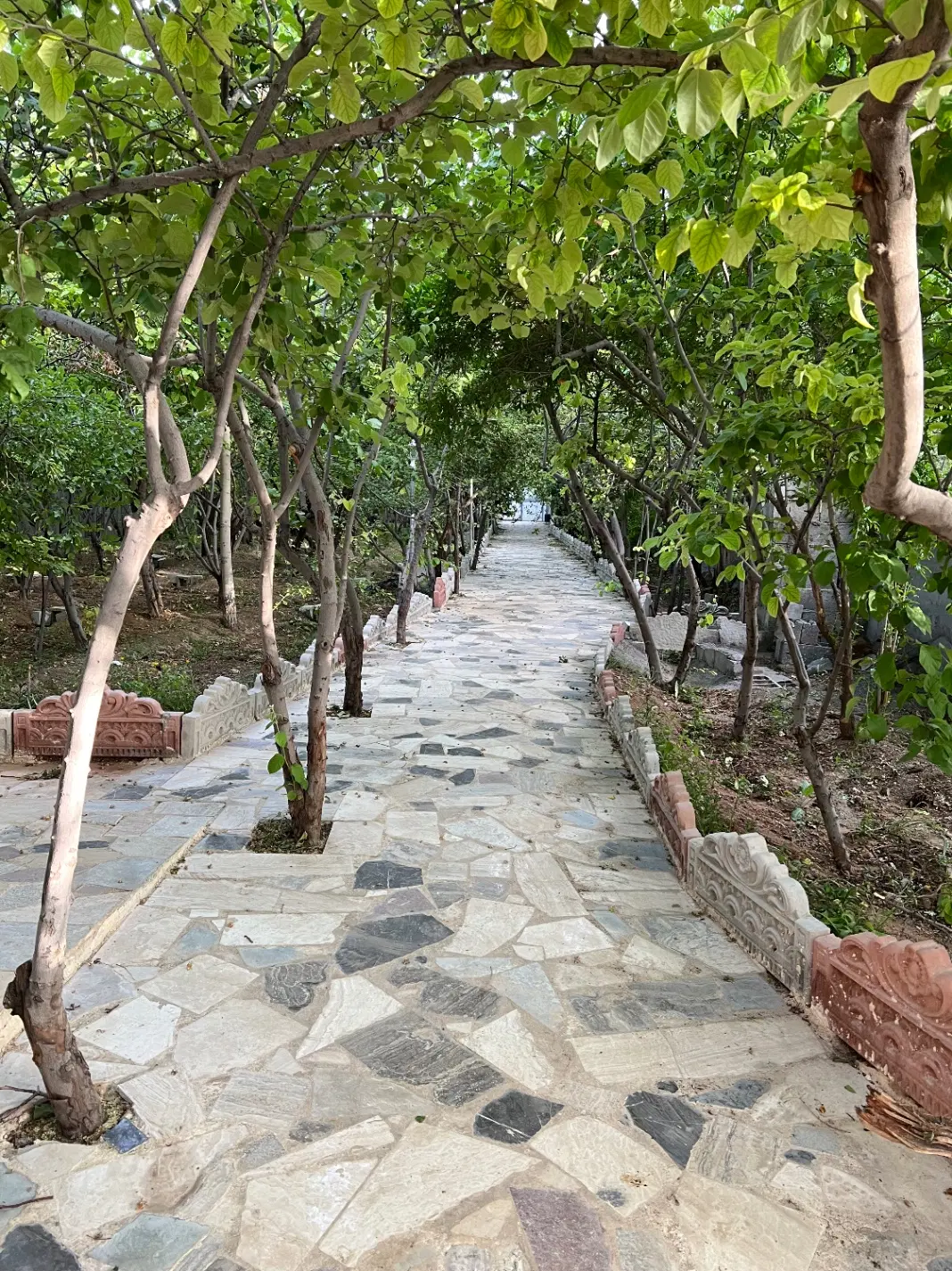 ویلا استخردار دربست اجاره روزانه در باغبهادران