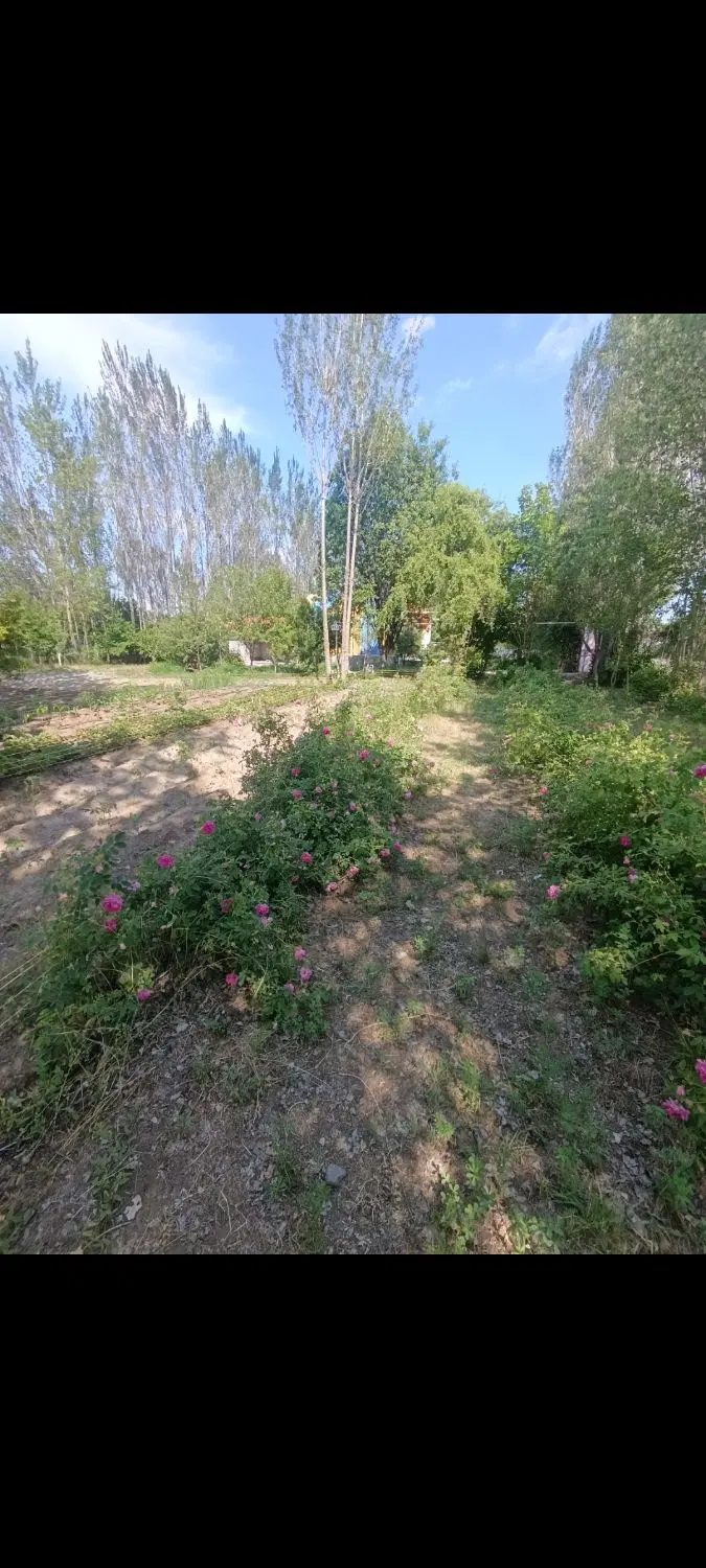 زمین مسکونی و ویلایی در روستای سولا