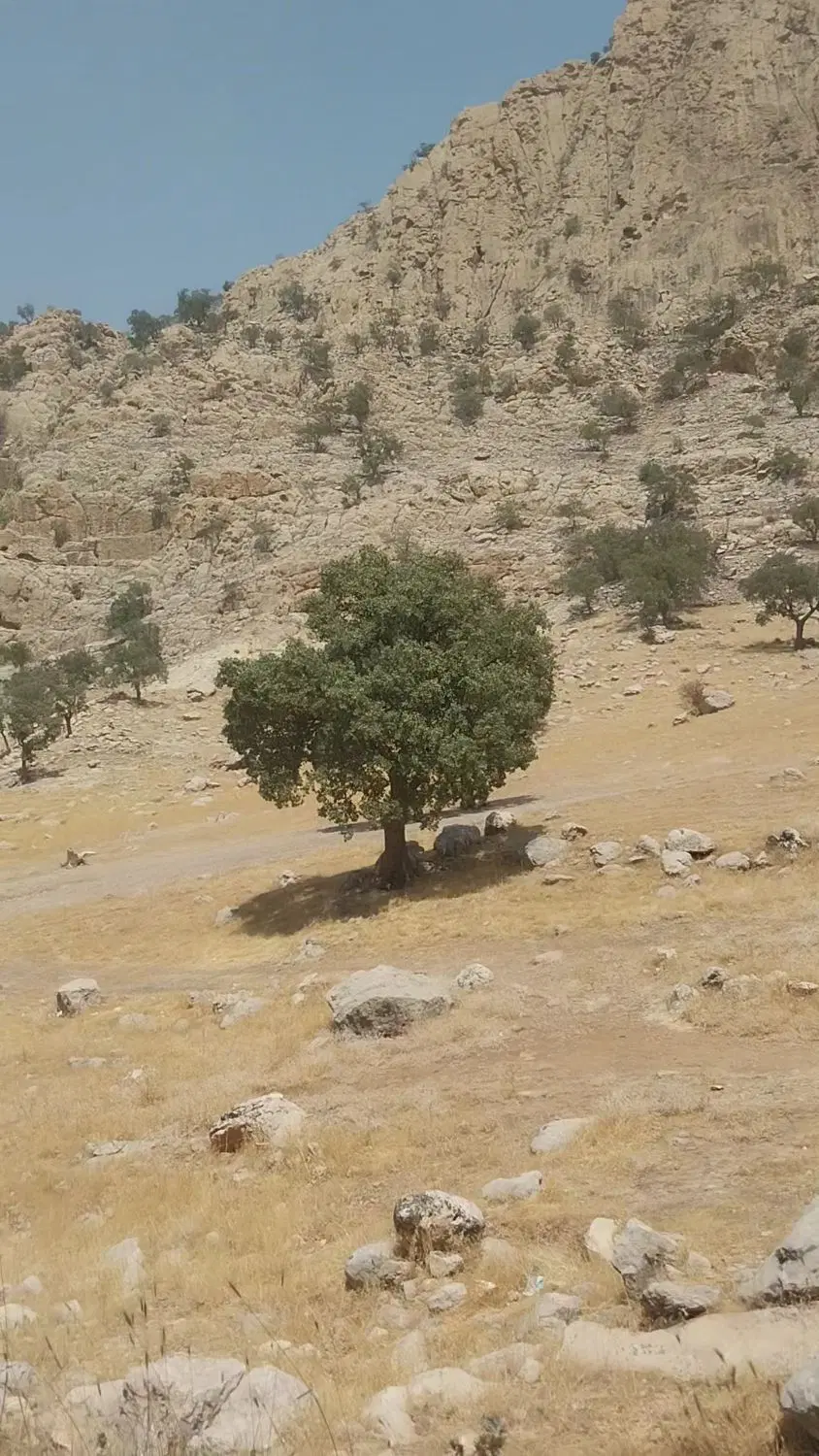 یک قطعه زمین به مساحت ۳۶۴مترواقع درآبریگون  فروشی