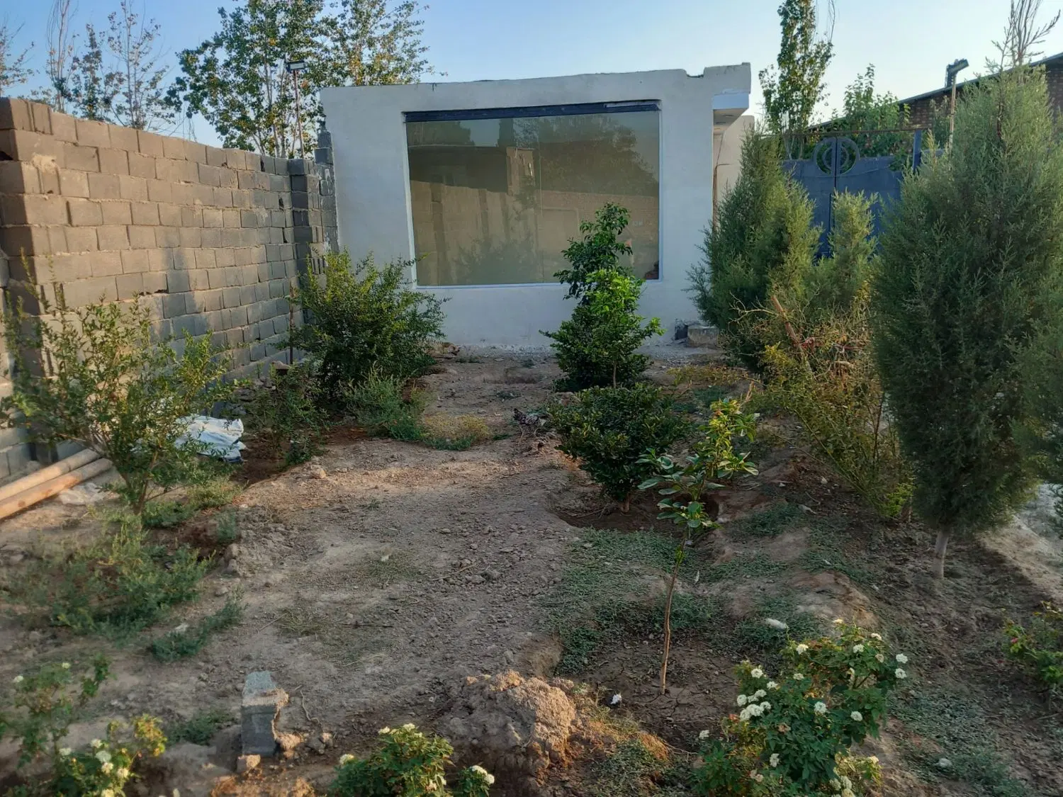 زمین باغی