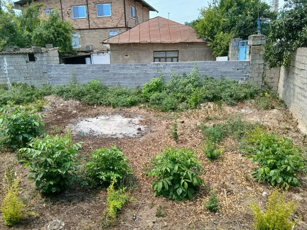 فروش زمین مسکونی پایین معلم کلا