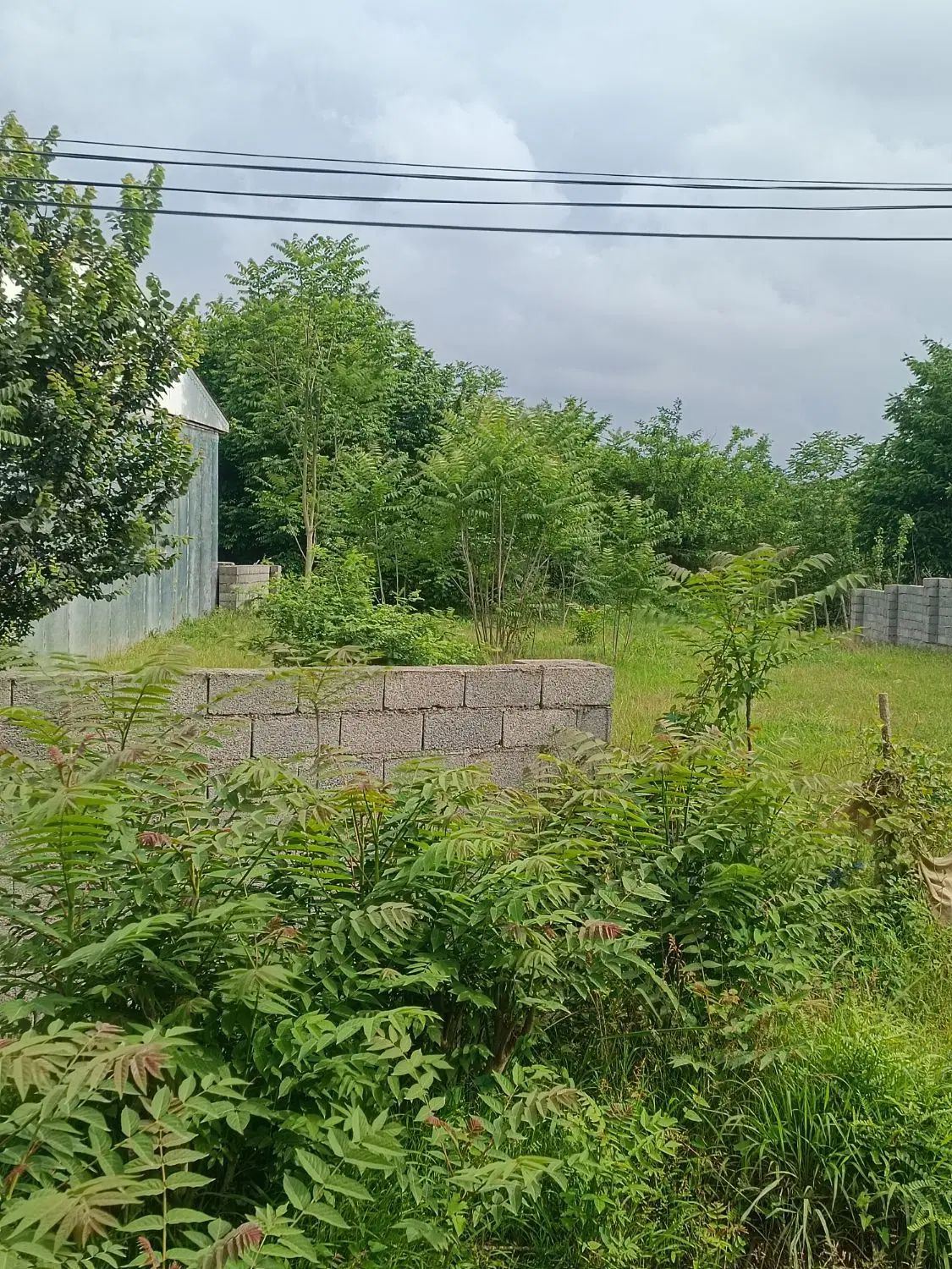 630 متر زمین واقع در روستای گیل چالان