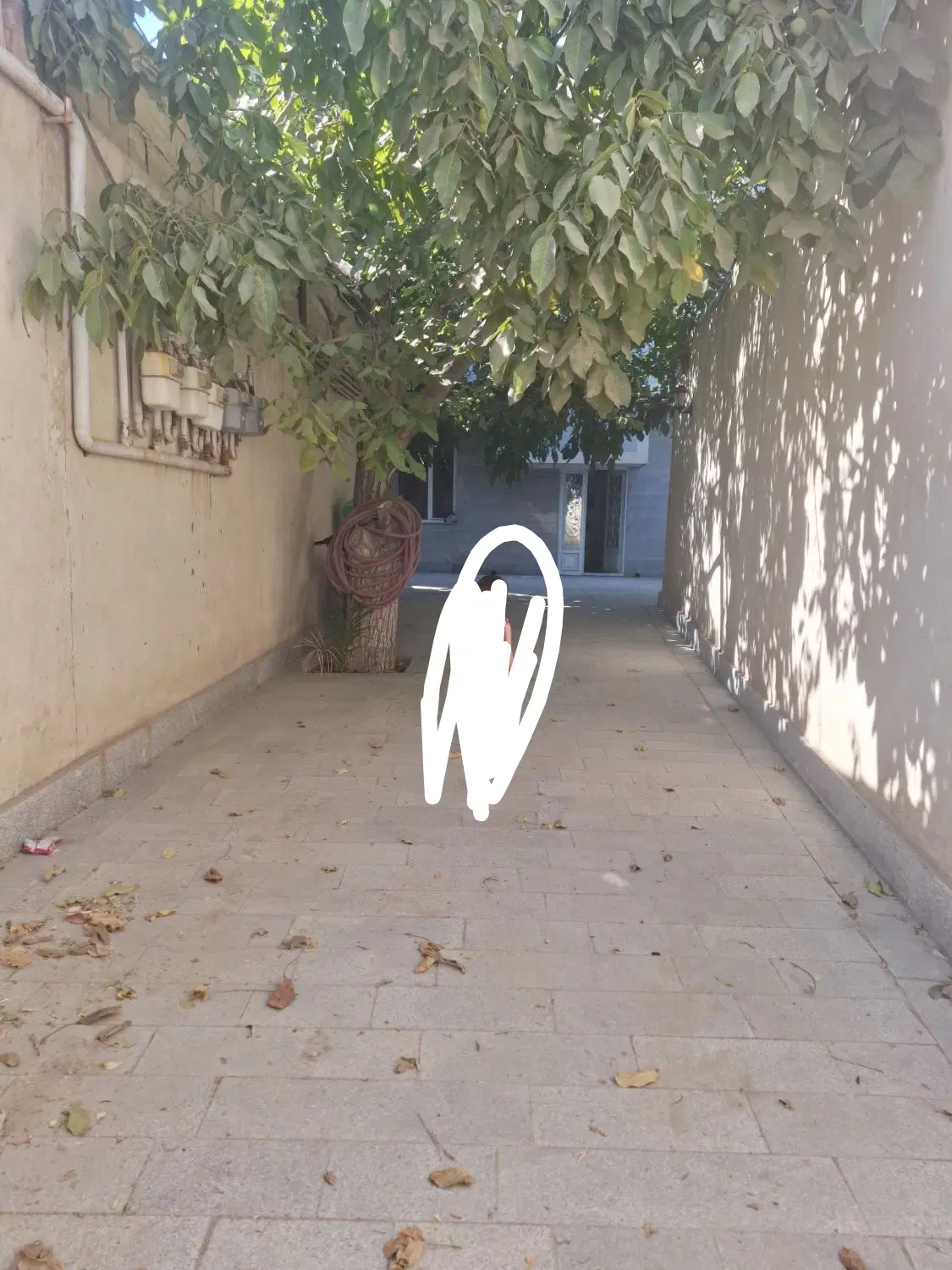 رهن کامل توس ۳۳ کشف