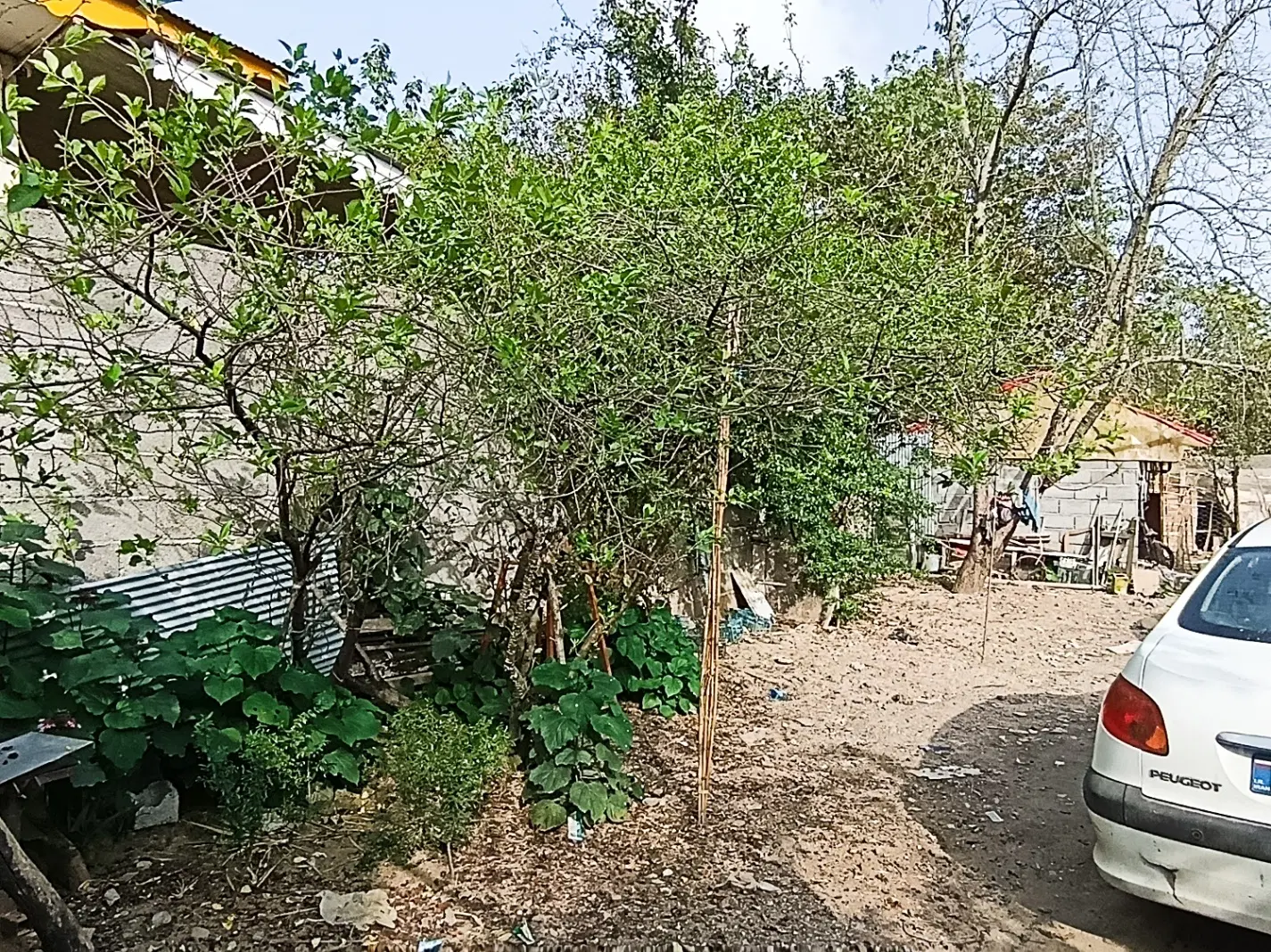 فروش ویلایی ۶۴۰ متر+شالی ۲۰۰۰متر