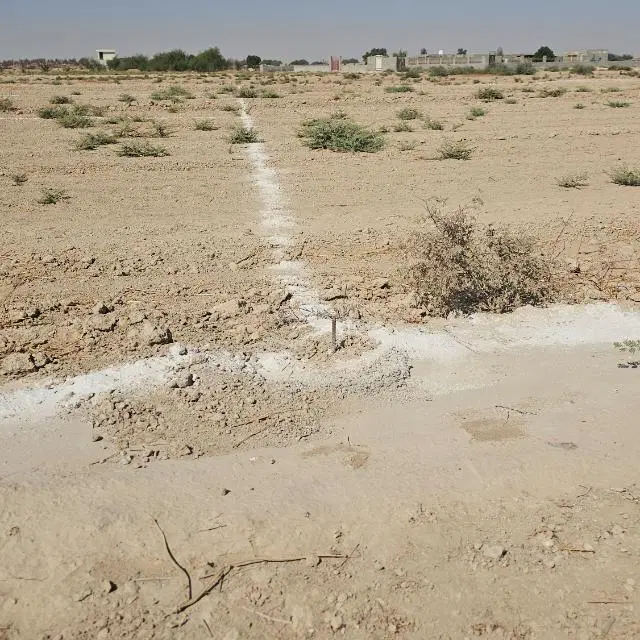 زمین باغ شهری سرکره