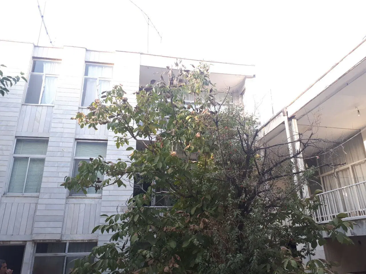 مسکونی 320 متر