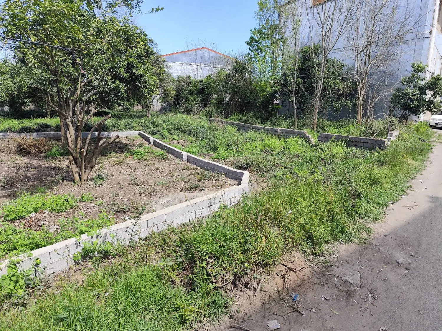 زمین تجاری مسکونی