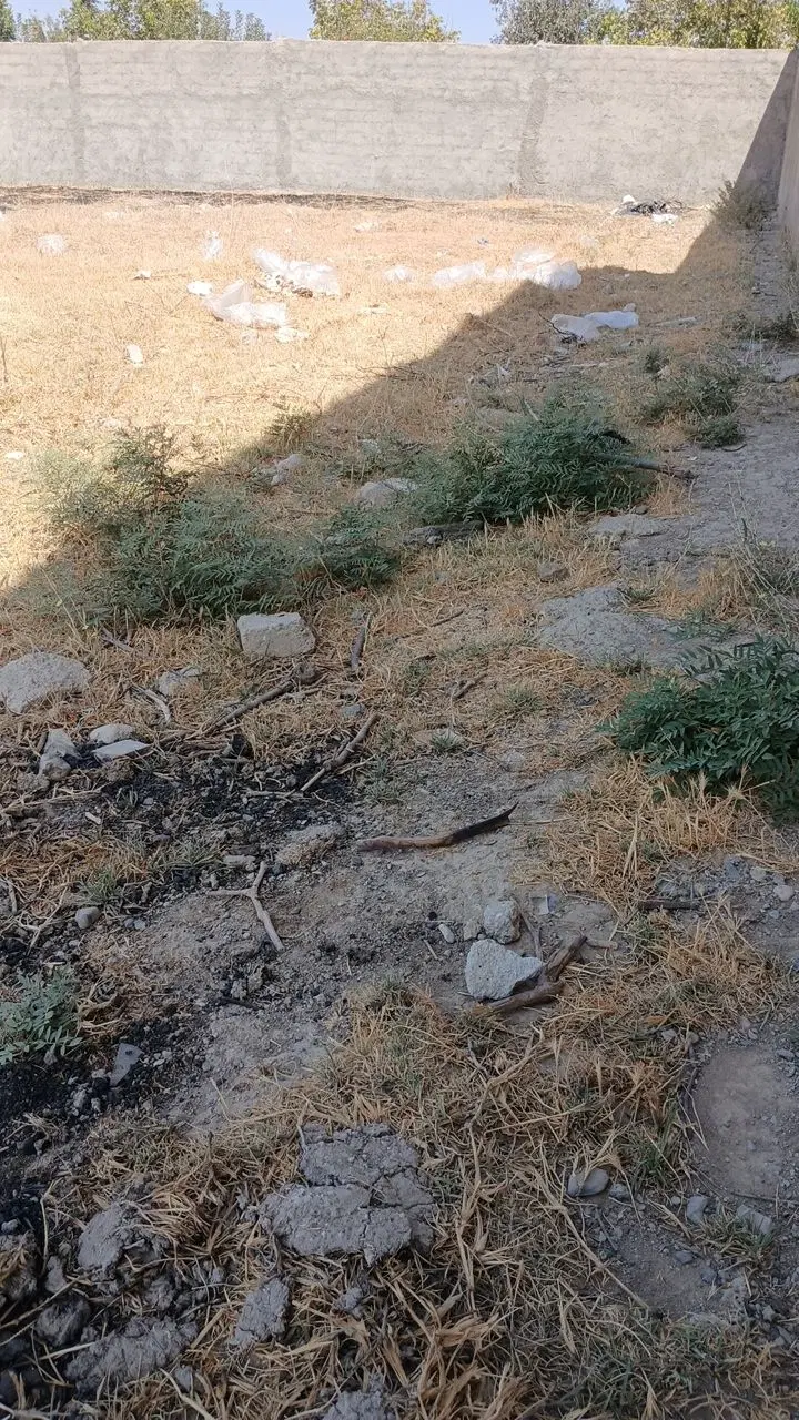 فروشی