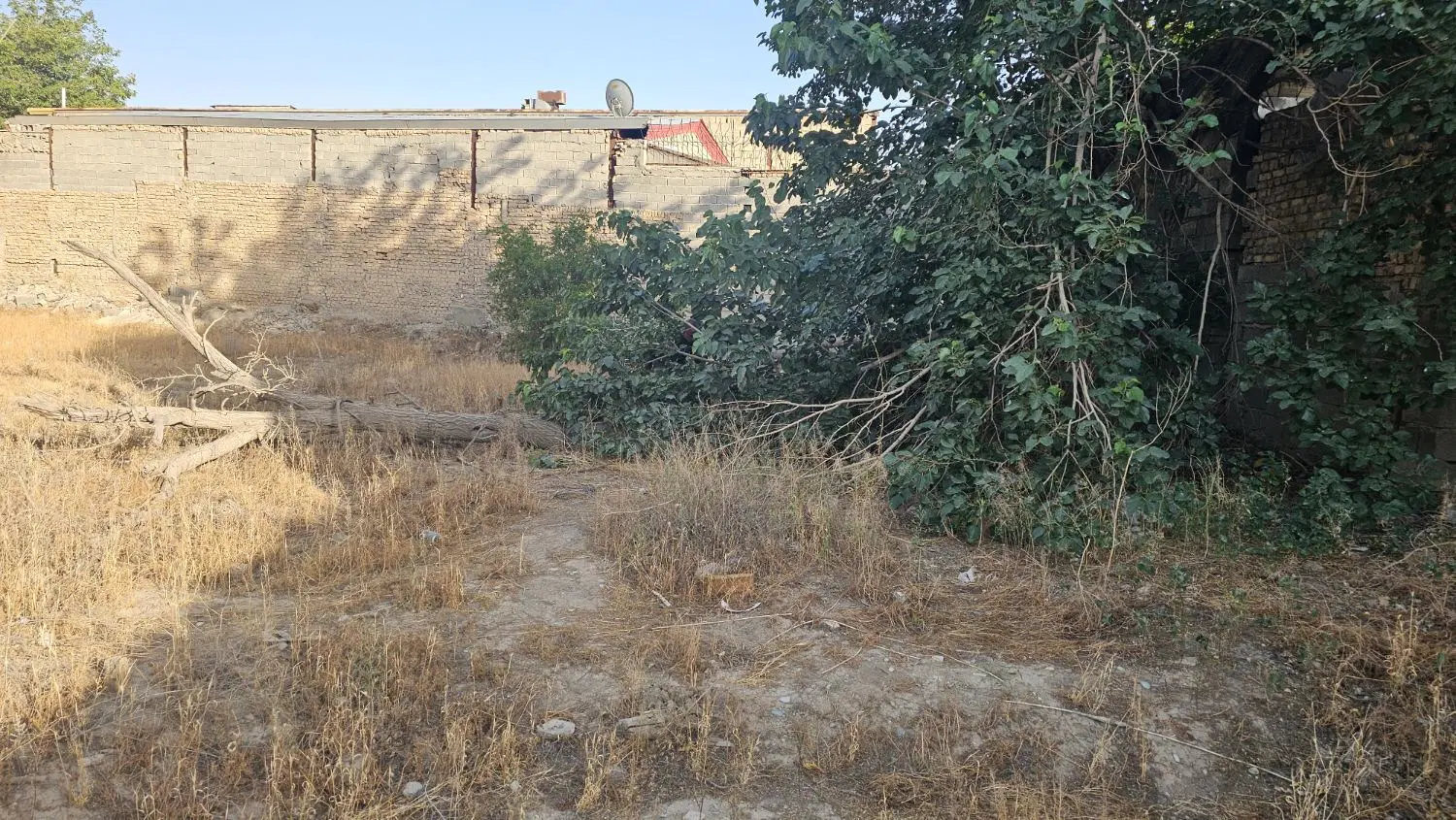 زمین با کاربری سوله و کارگاه