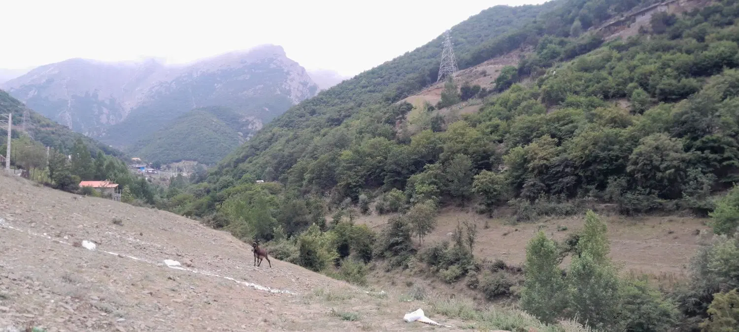 400مترزمین داخل بافت روستای ییلاقی ورازان