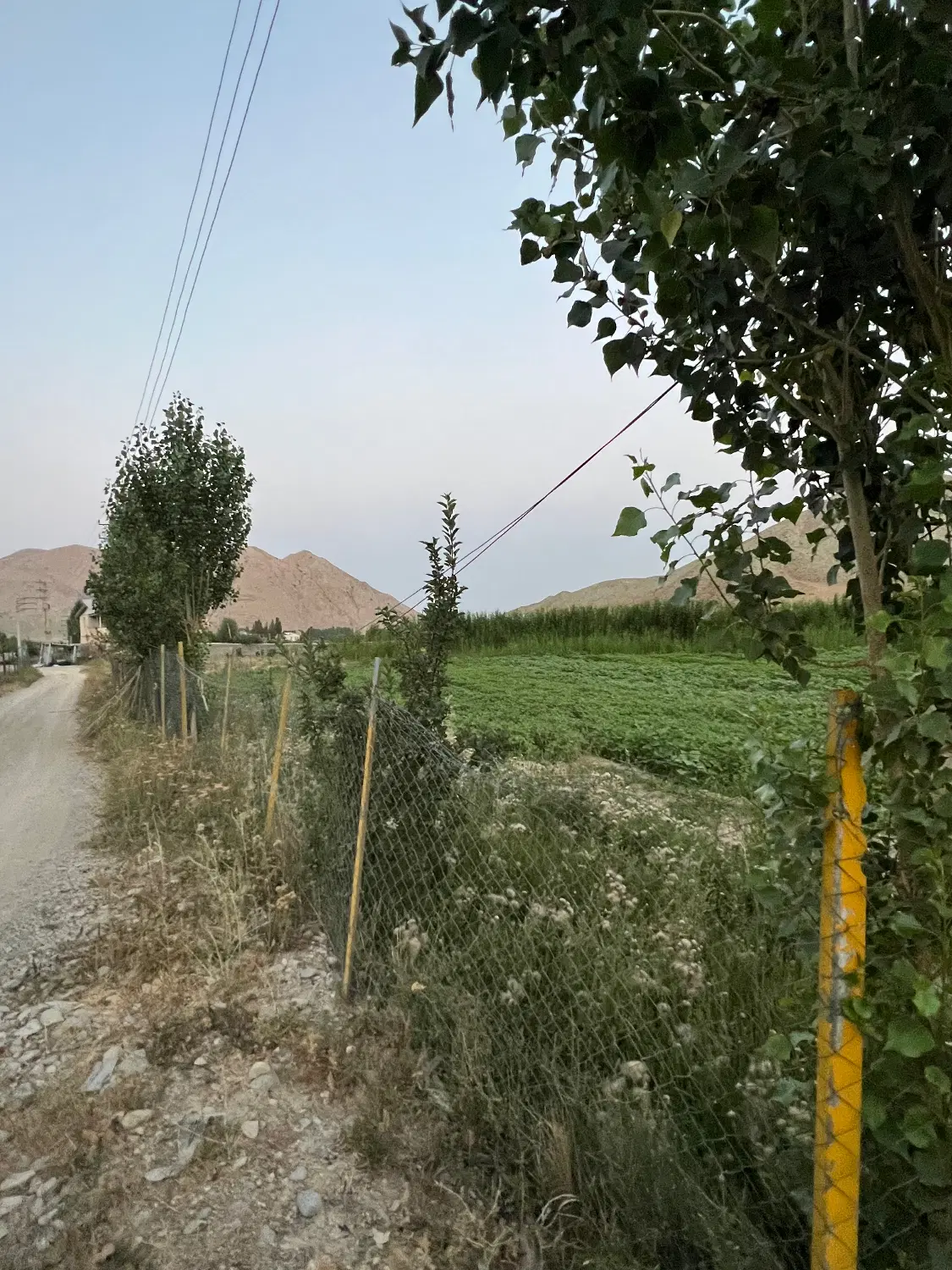 فروش زمین ۶۰۰۰ مترسنددار ،فیروزکوه ،سر جاده اصلی
