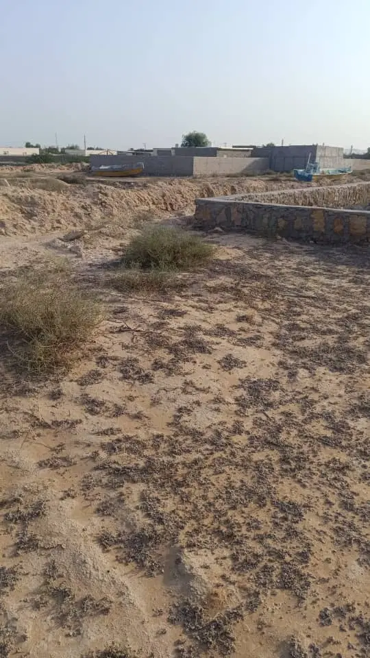 زمین مسکونی روستا تنبان