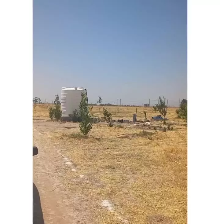 فروش زمین باغی واقع در دهبید مرودشت