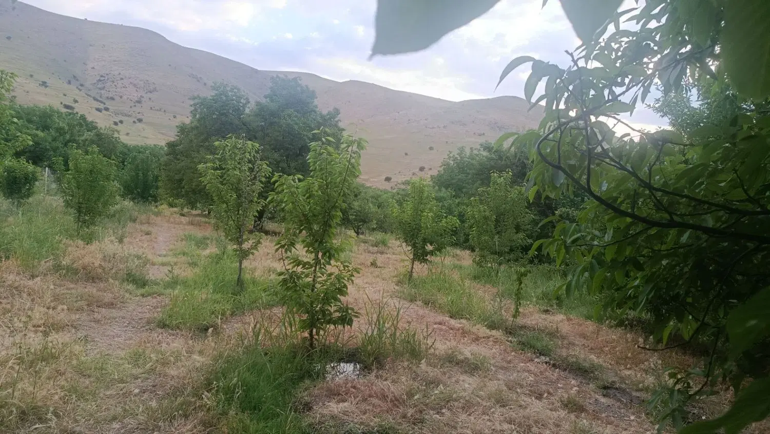 باغ روستای دوآب