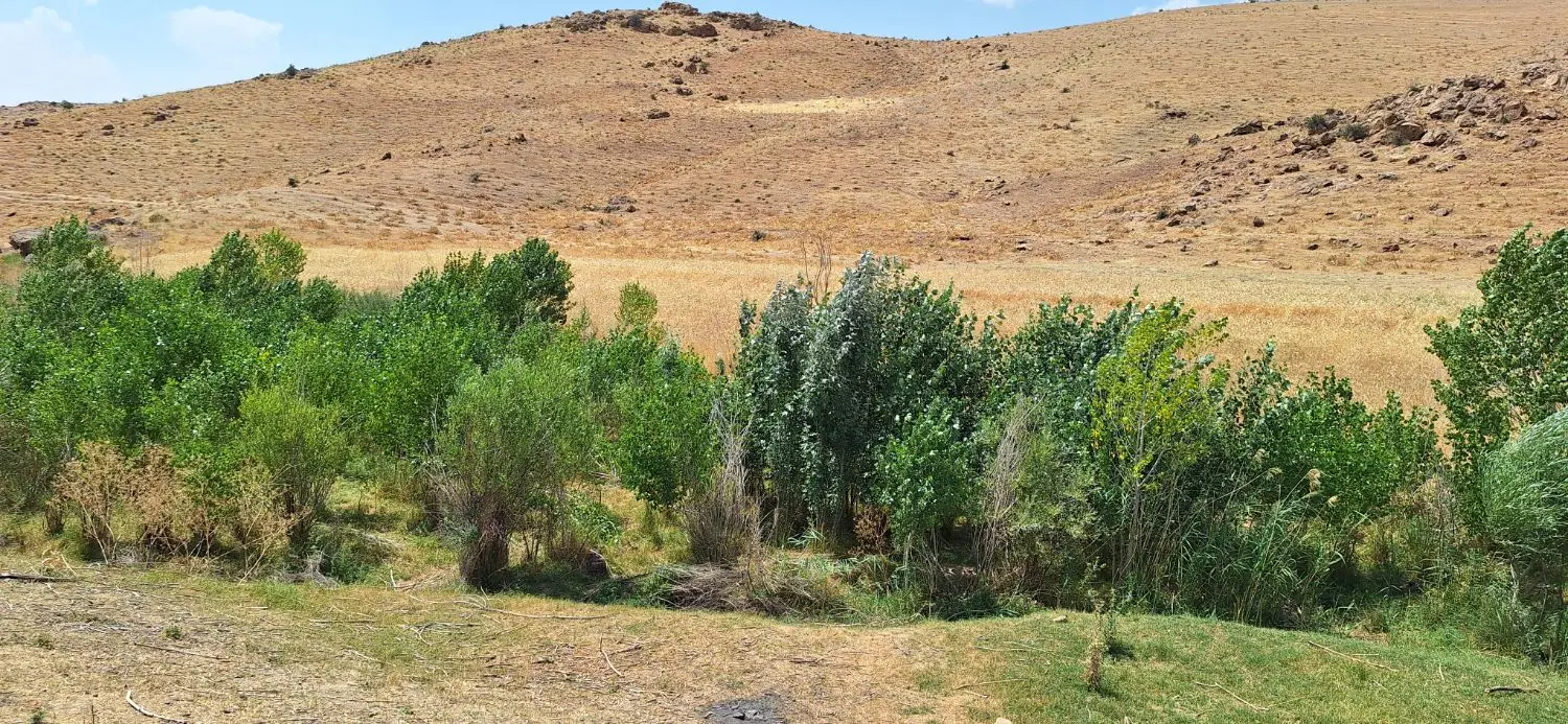 فروش باغ چنار
