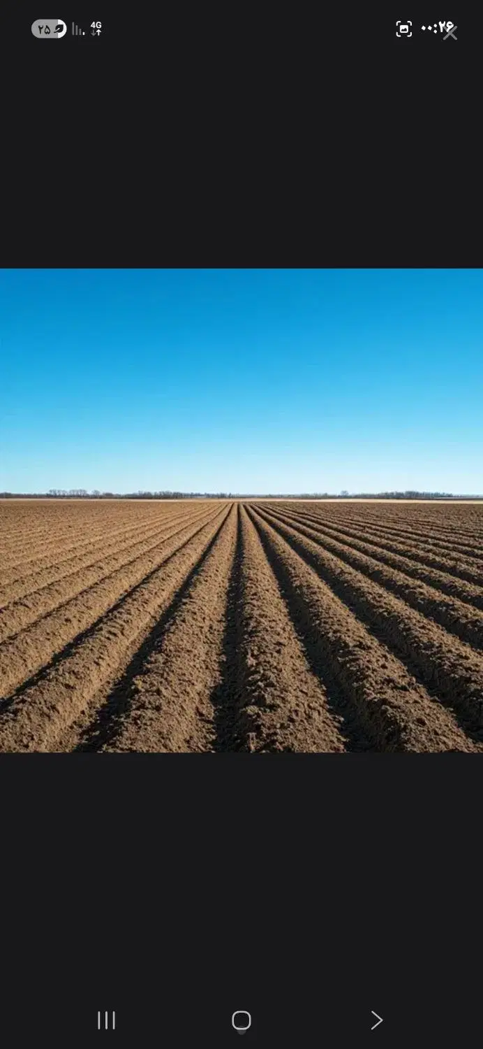 زمین برای کاشت سیر درتازه اباد