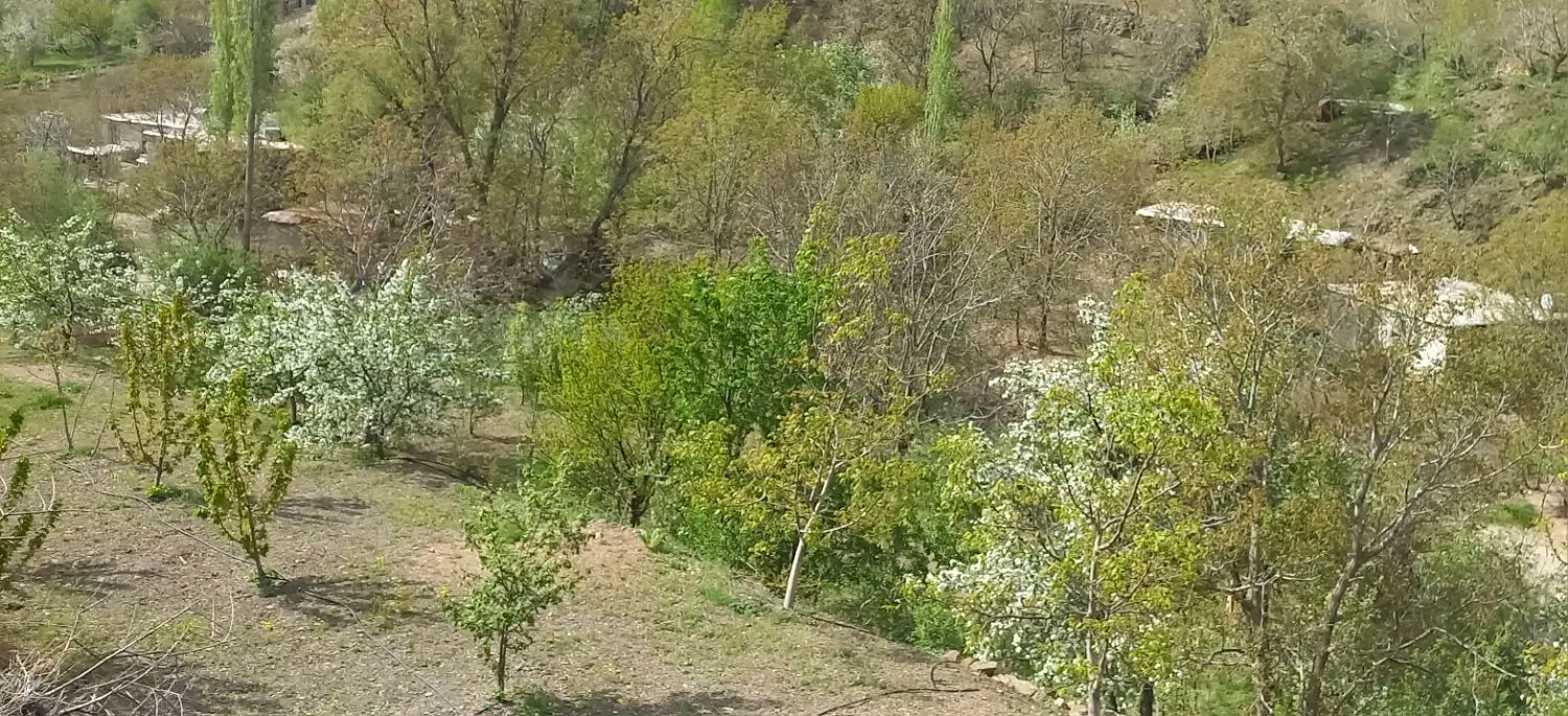 زمین