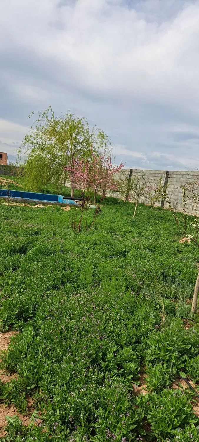 باغ روستای گجوان