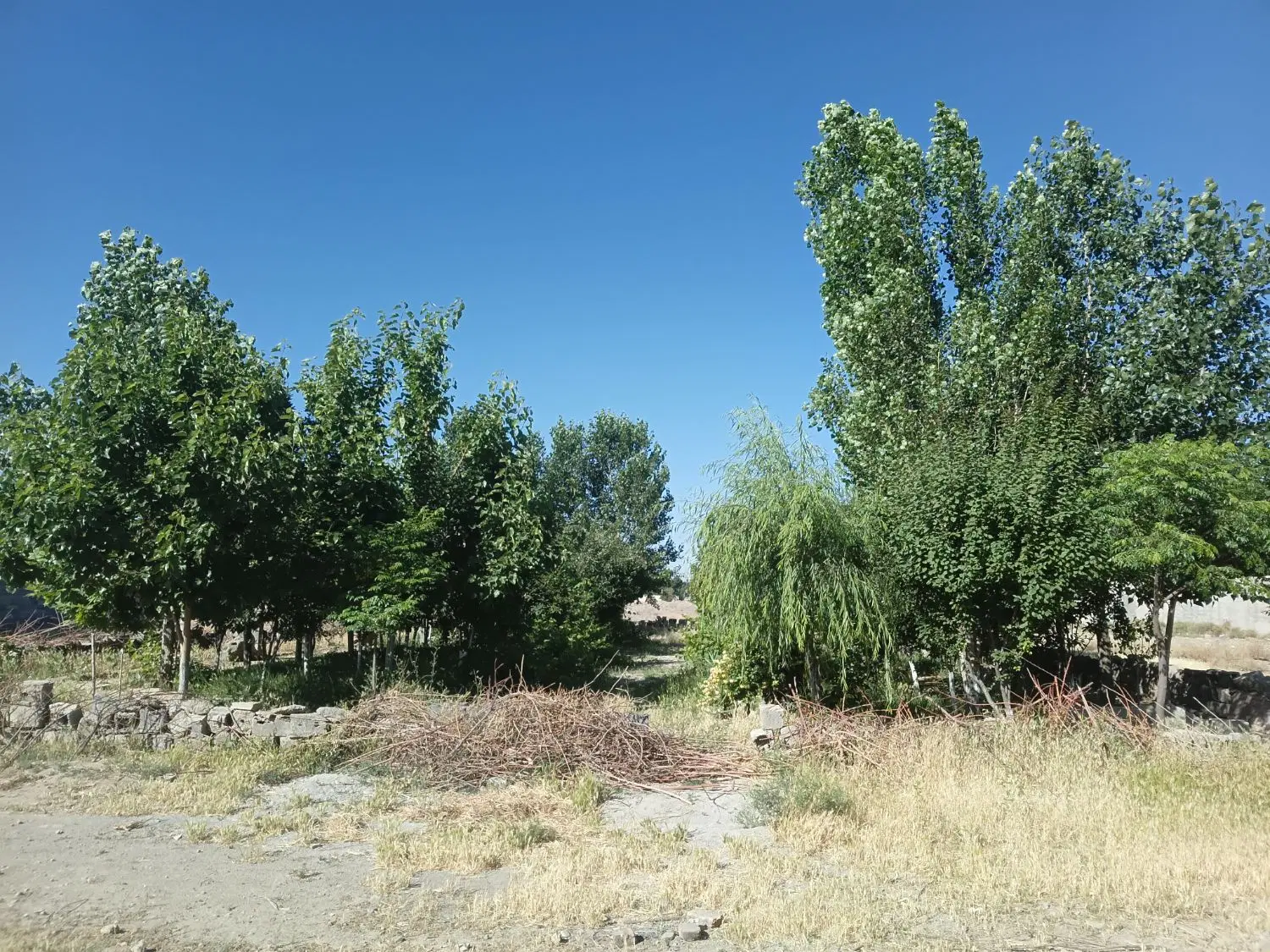 زمین